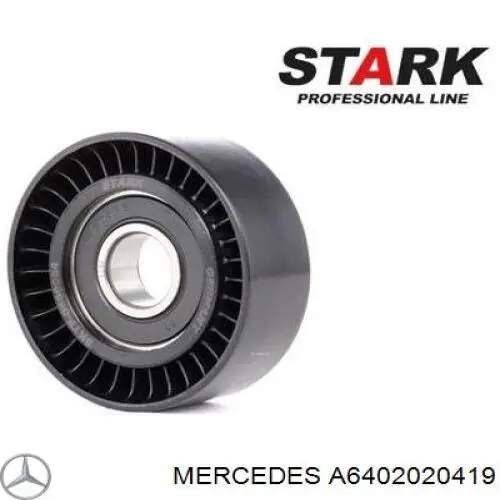A6402020419 Mercedes Polea guía correa poli V