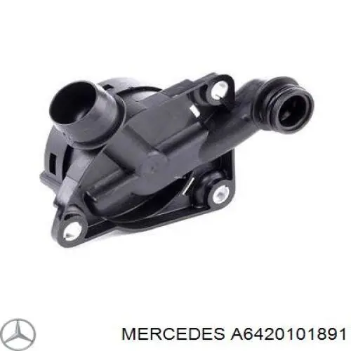 A6420101891 Mercedes válvula, ventilaciuón cárter