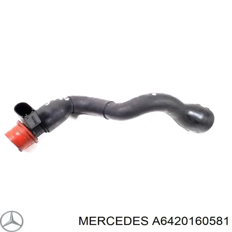 6420160581 Mercedes tubo de ventilacion del carter (separador de aceite)