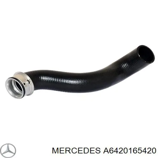 Junta de culata izquierda A6420165420 Mercedes