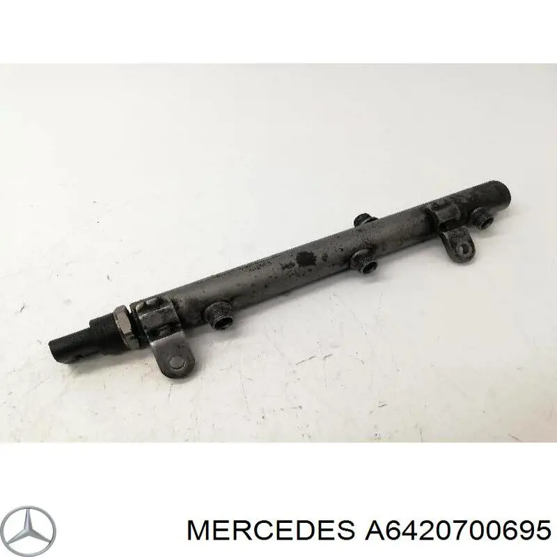 Rampa de combustible derecha Mercedes A6420700695 precio, desde 51,00 EUR