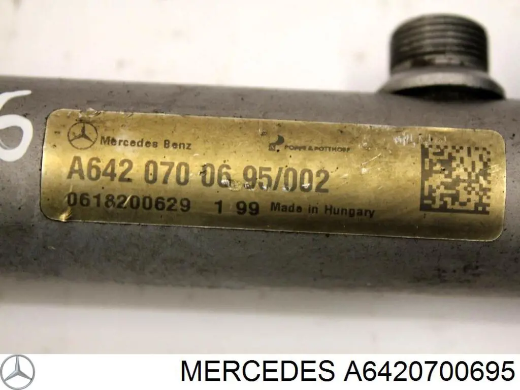 Rampa de combustible derecha A6420700695 Mercedes