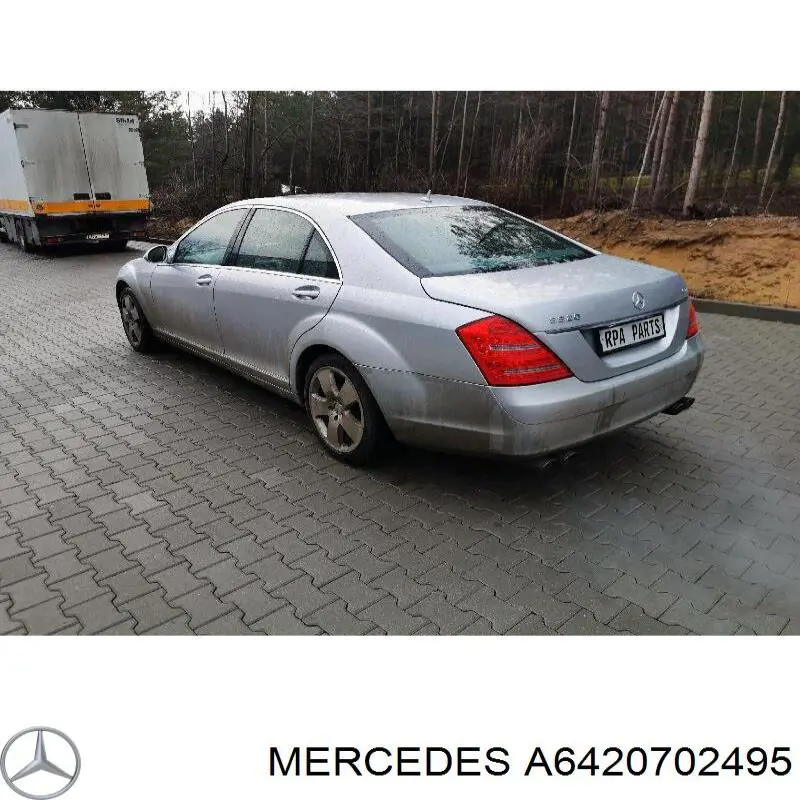 Rampa de combustible izquierda Mercedes A6420702495 precio, desde 178,60 EUR