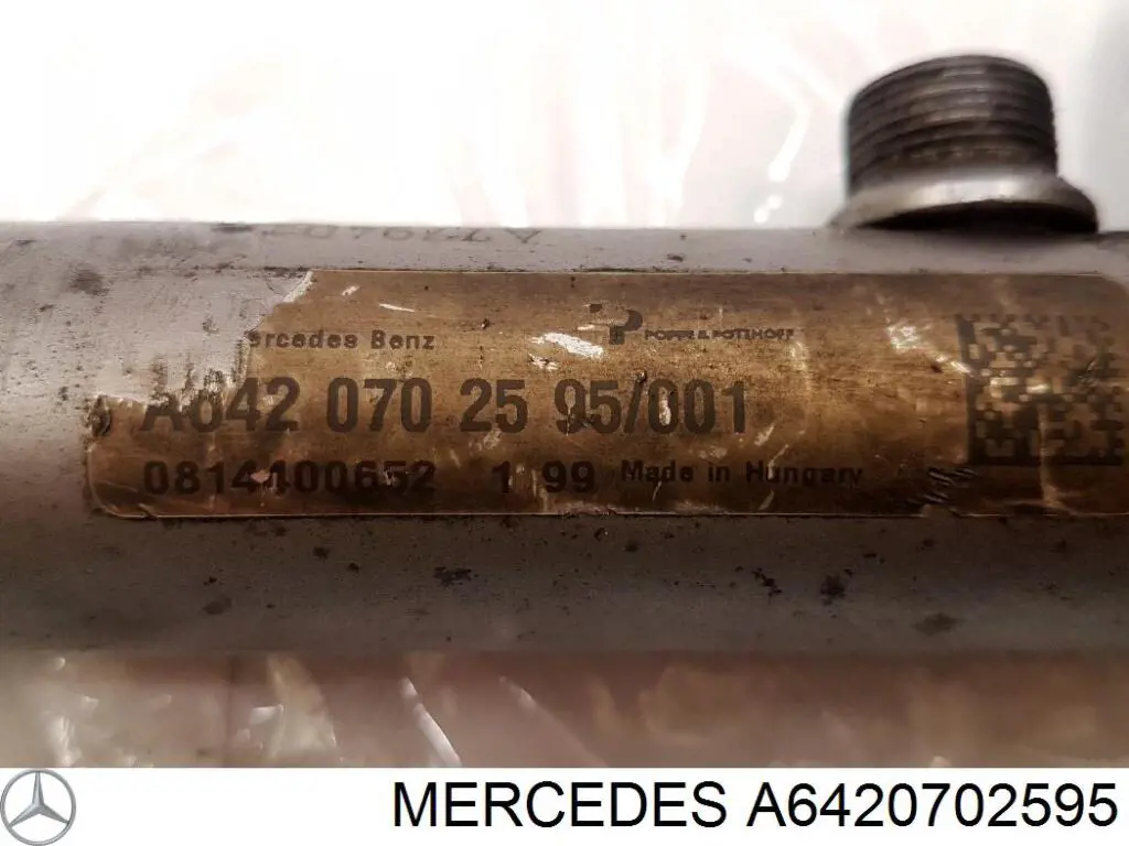 Comprar A6420702595 Mercedes Rampa de combustible derecha