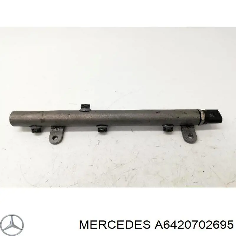 Comprar A6420702695 Mercedes Rampa de combustible derecha
