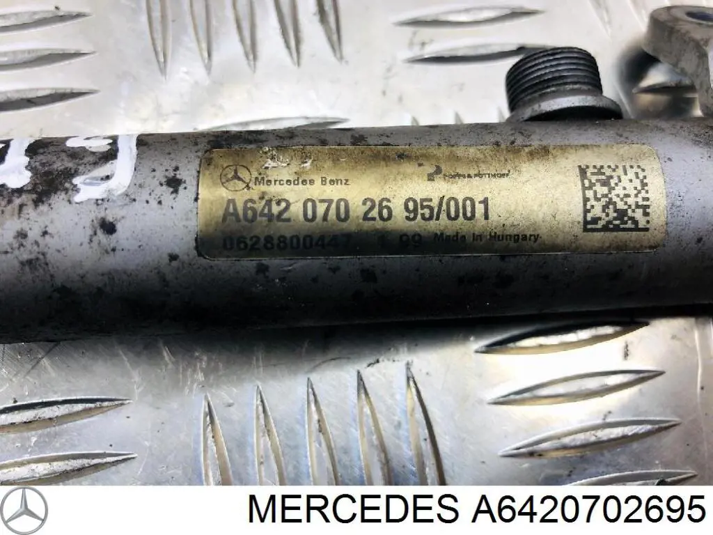 Rampa de combustible derecha Mercedes A6420702695 precio, desde 55,18 EUR
