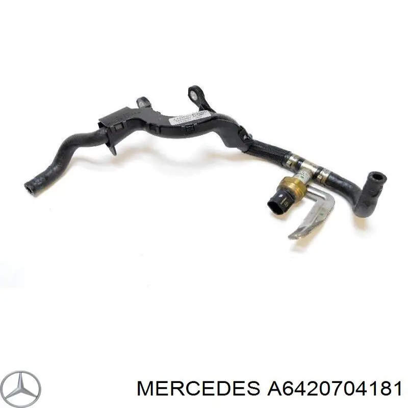 A6420704181 Mercedes