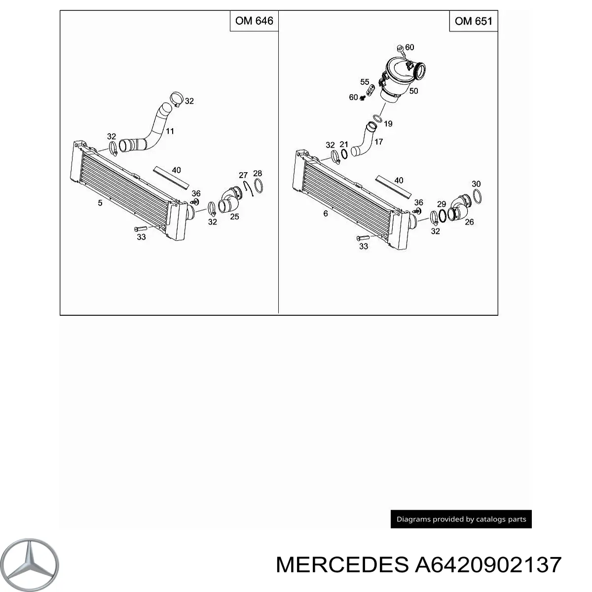 A6420902137 Mercedes