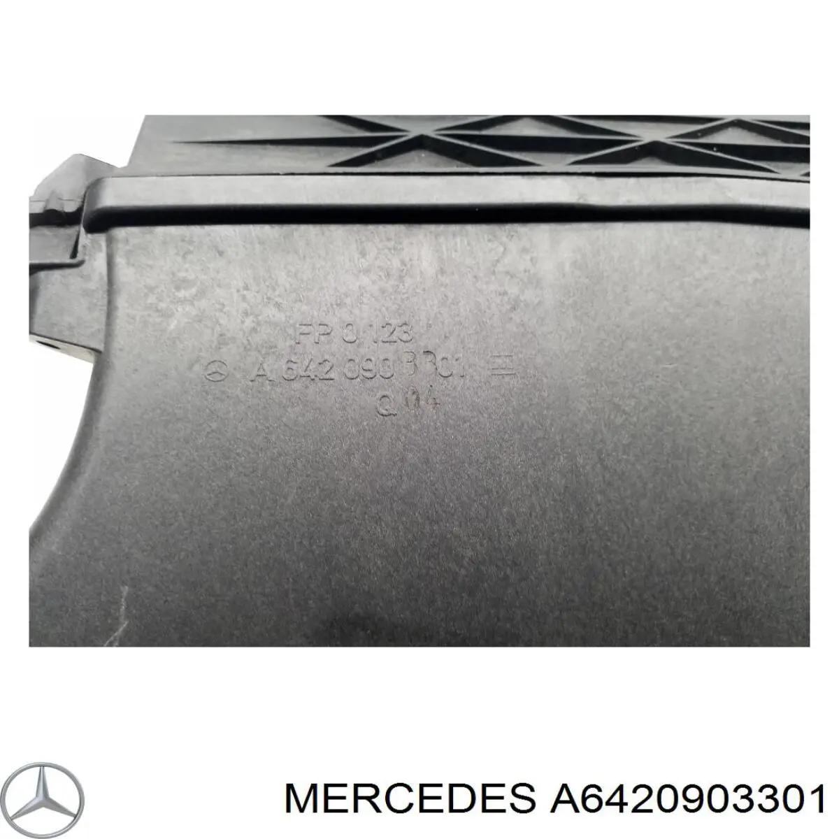 Caja del filtro de aire izquierda A6420903301 Mercedes