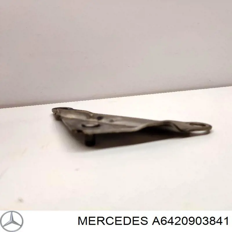  A6420903841 Mercedes