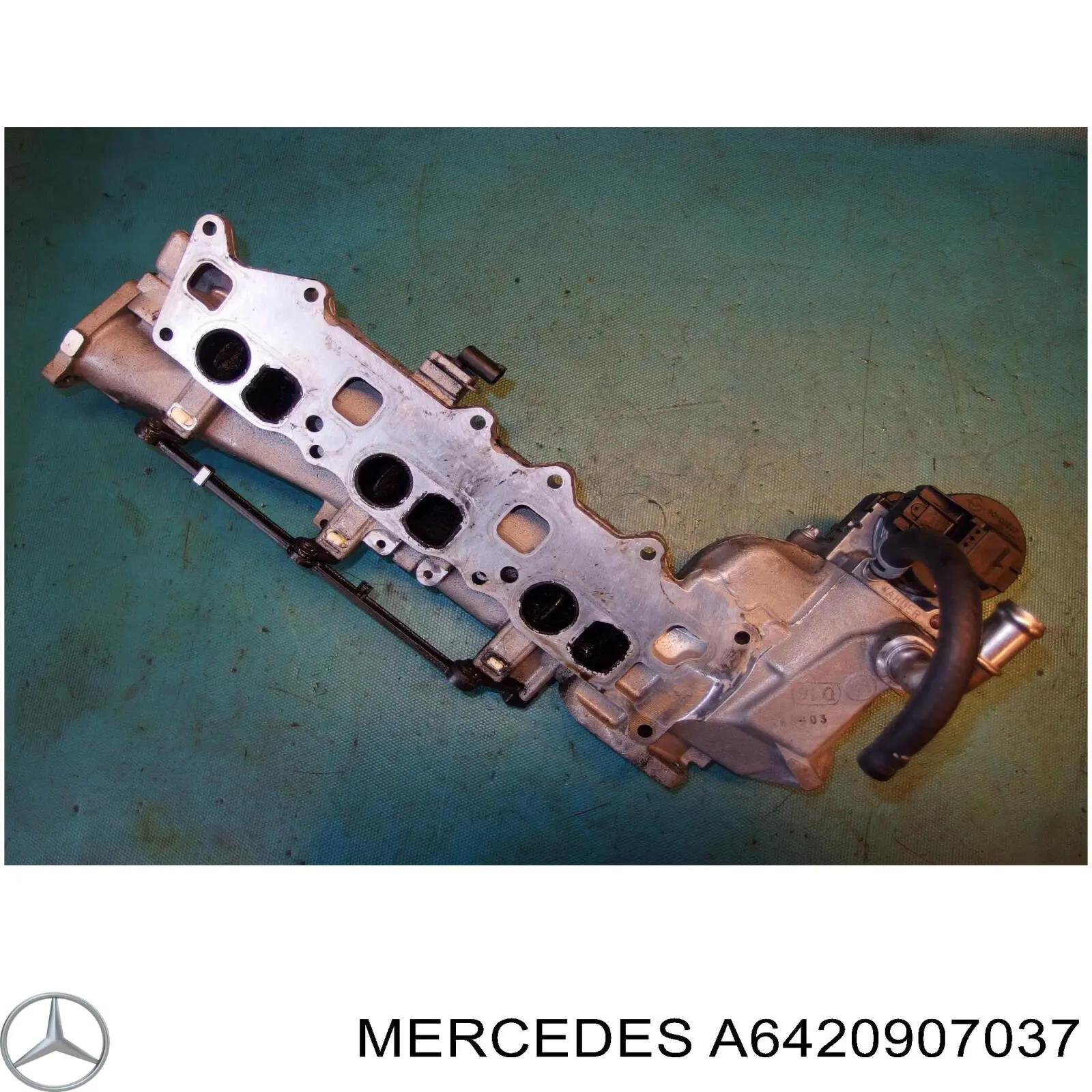 A6420907037 Mercedes