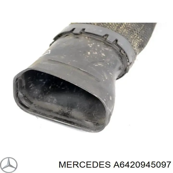 Tubo flexible de aspiración, filtro de aire (entrada) para Mercedes CLS (C219)