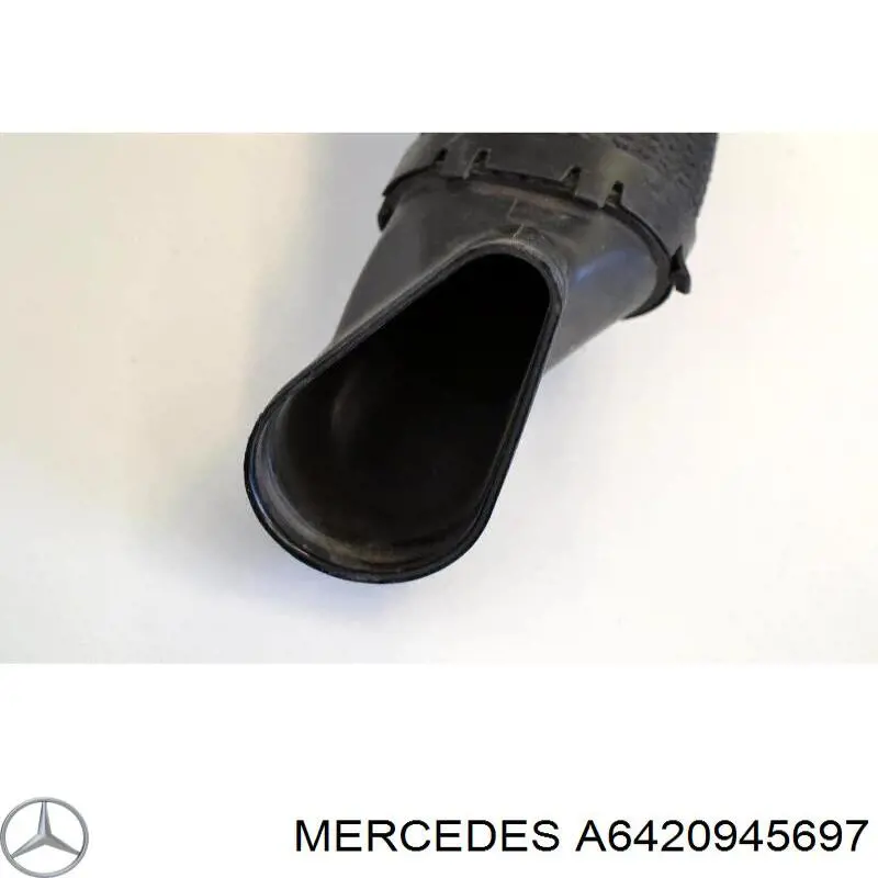 Tubo flexible de aspiración A6420945697 Mercedes