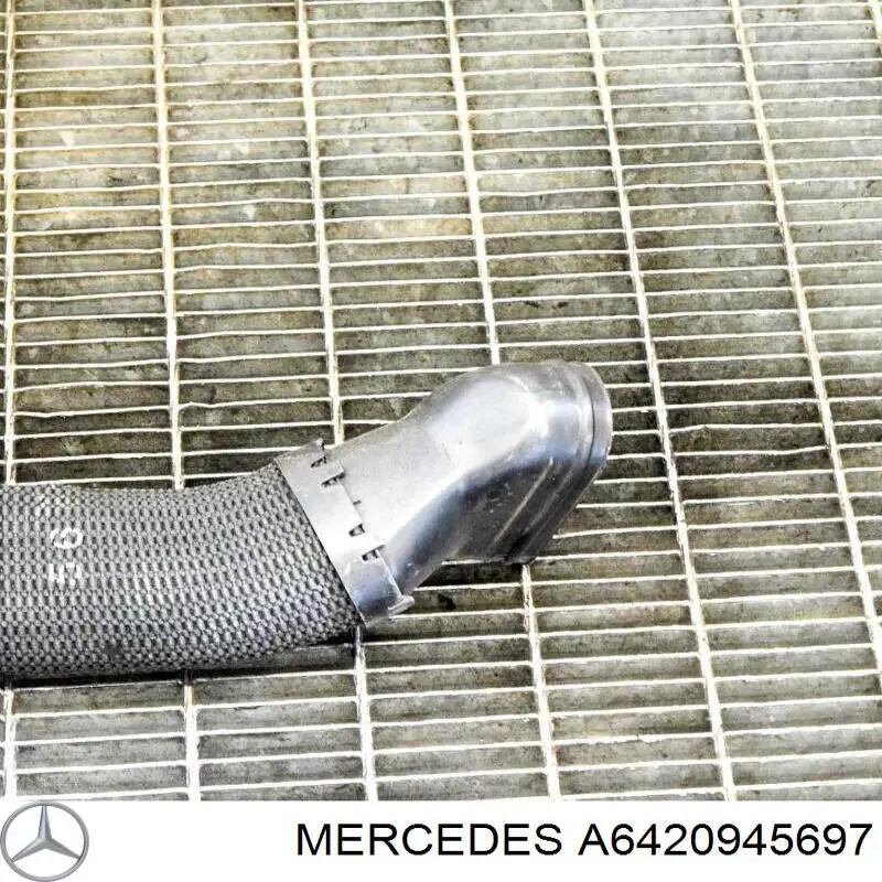 Tubo flexible de aspiración, entrada Mercedes A6420945697