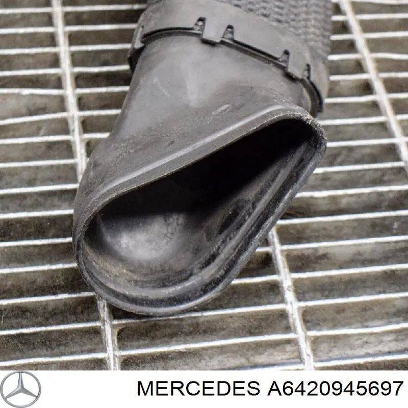 A6420945697 Mercedes Tubo flexible de aspiración, filtro de aire
