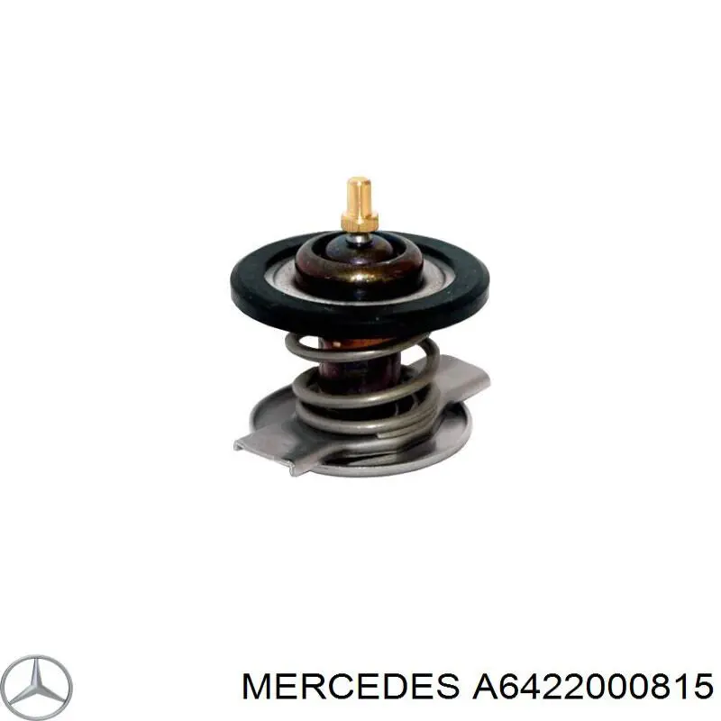 Termostato Mercedes A6422000815 precio, desde 35,56 EUR