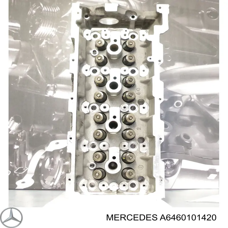 Cabeza de cilindro Mercedes A6460101420 precio, desde 486,42 EUR