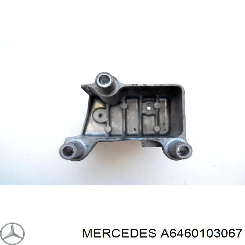 Tapa motor A6460103067 Mercedes