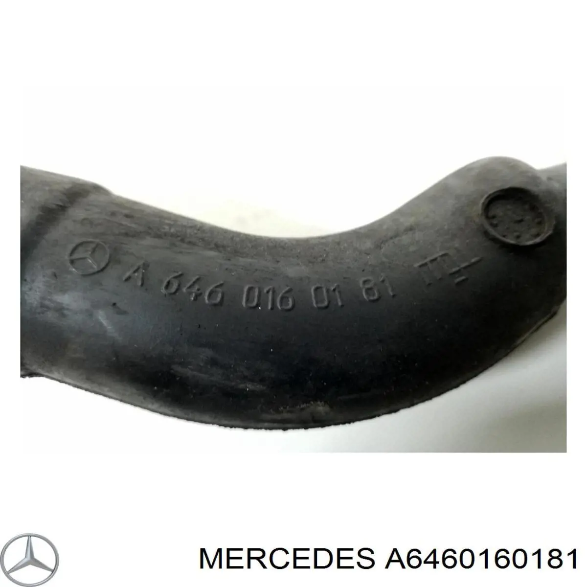 A6460160181 Mercedes tubo de ventilacion del carter (separador de aceite)