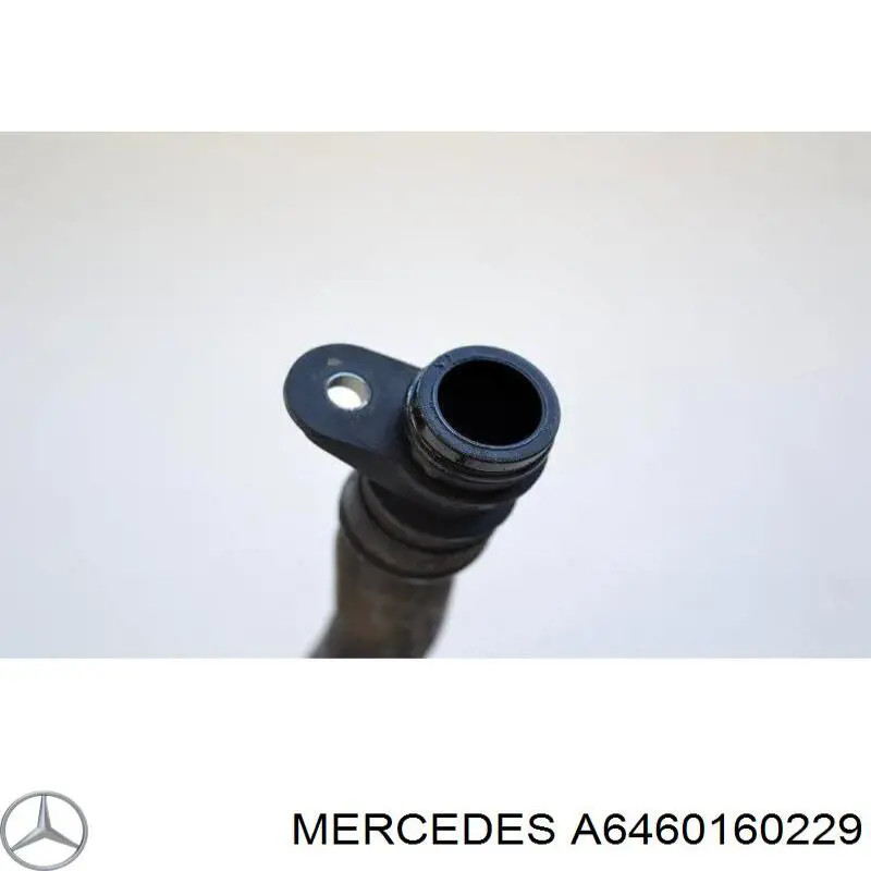 A6460160229 Mercedes