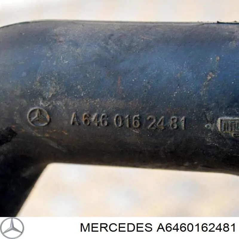 6460162481 Mercedes tubo de ventilacion del carter (separador de aceite)