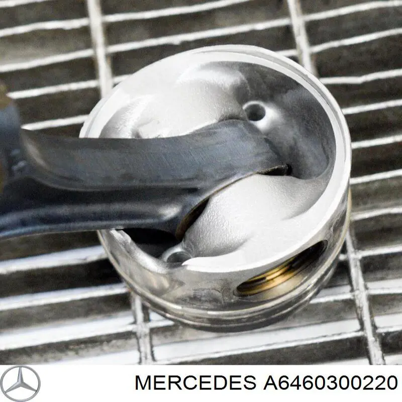 Biela Mercedes A6460300220 precio, desde 73,01 EUR