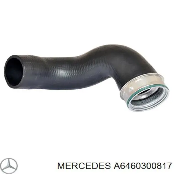 A6460300817 Mercedes