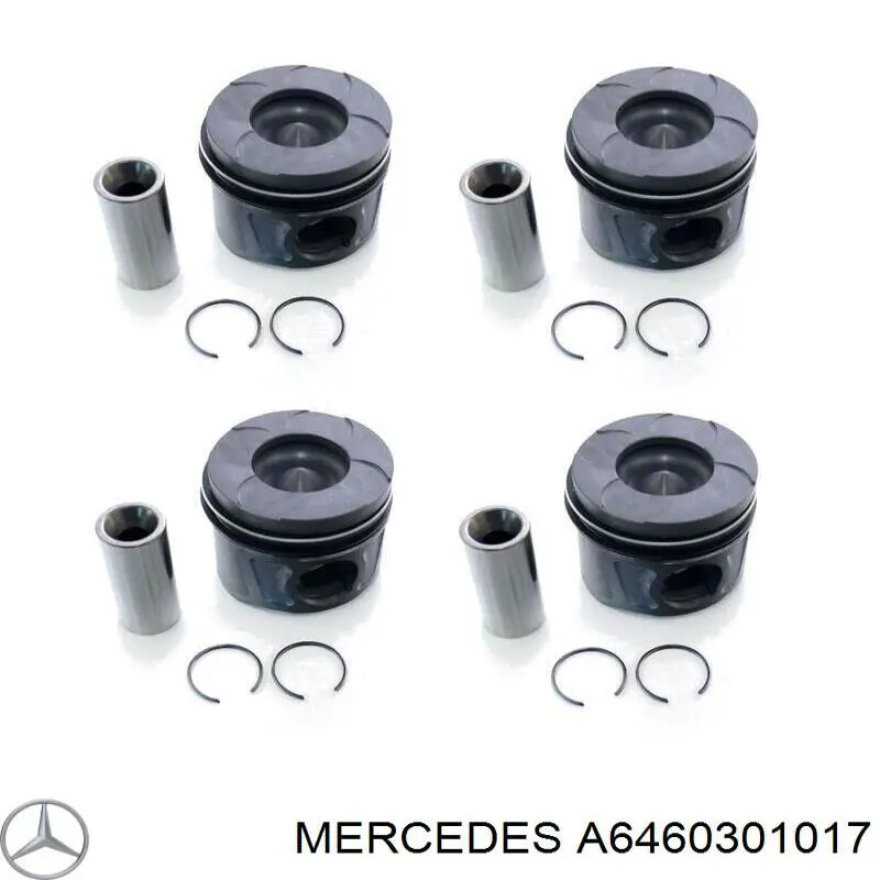 A6460301017 Mercedes