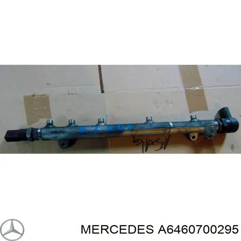 6460700295 Mercedes