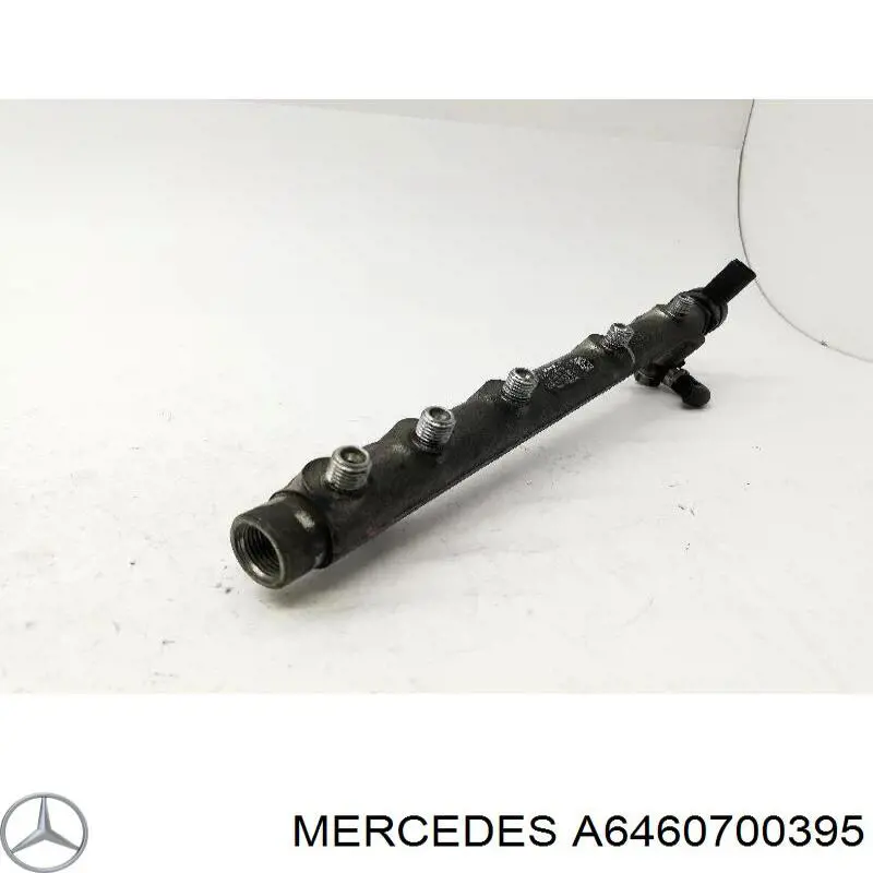 Rampa de combustible A6460700395 Mercedes