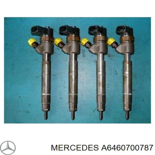 A6460700787 Mercedes Inyector de combustible