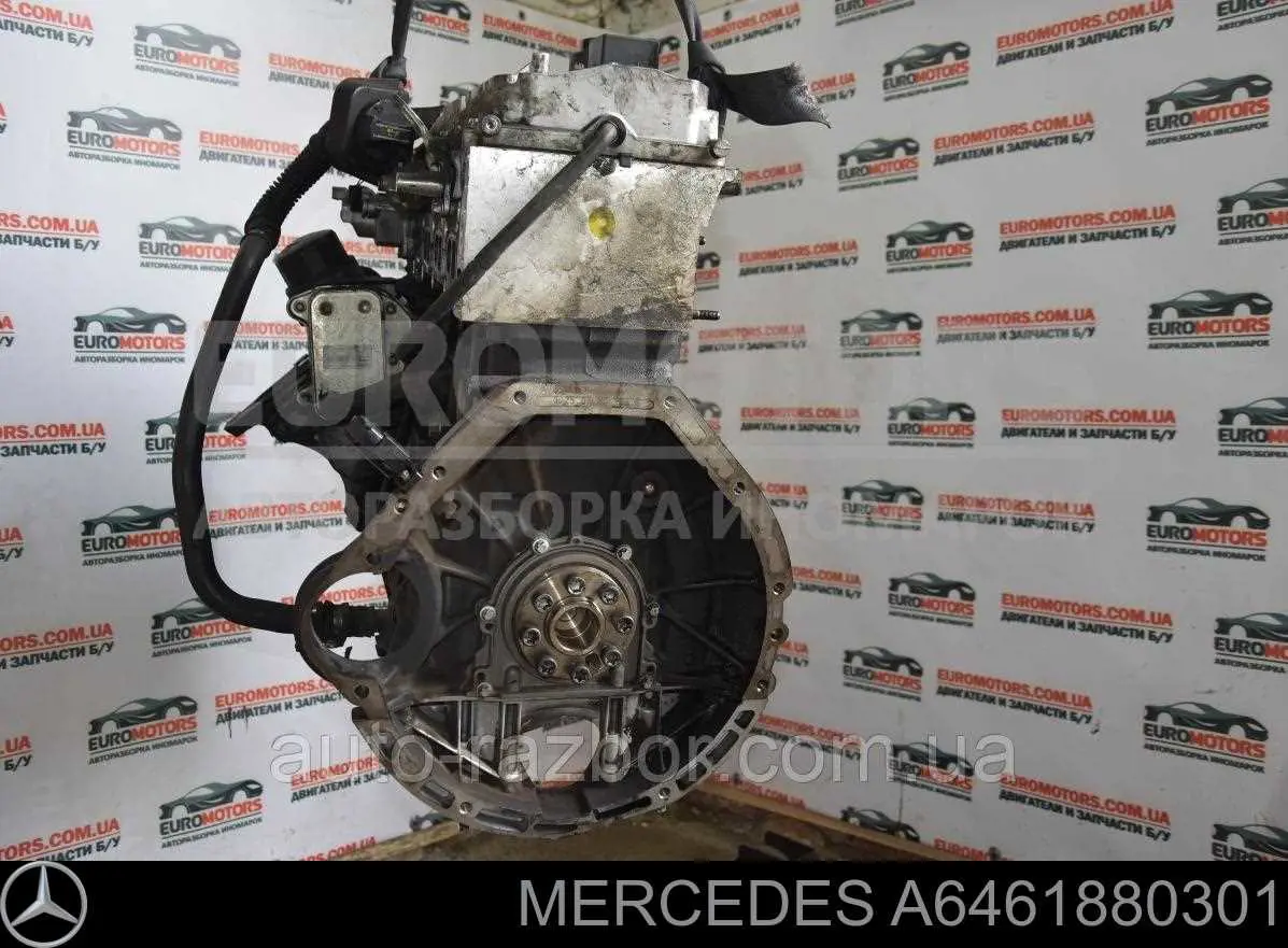Radiador de aceite Mercedes A6461880301 precio, desde 38,63 EUR
