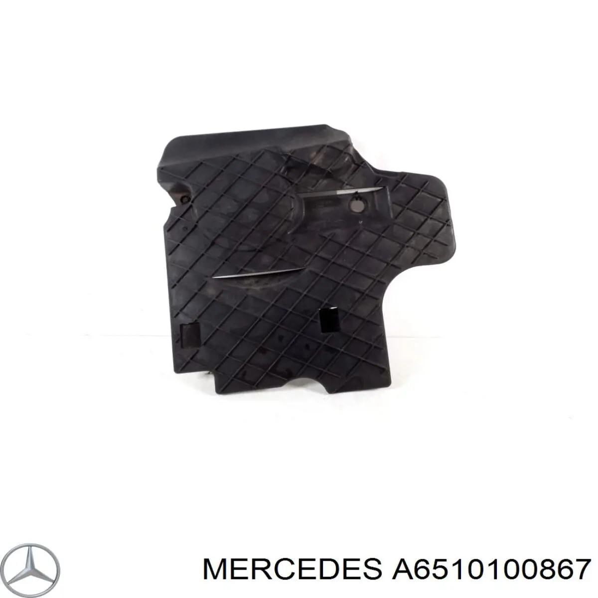 A6510100867 Mercedes