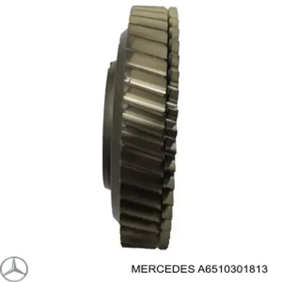 A6510301813 Mercedes