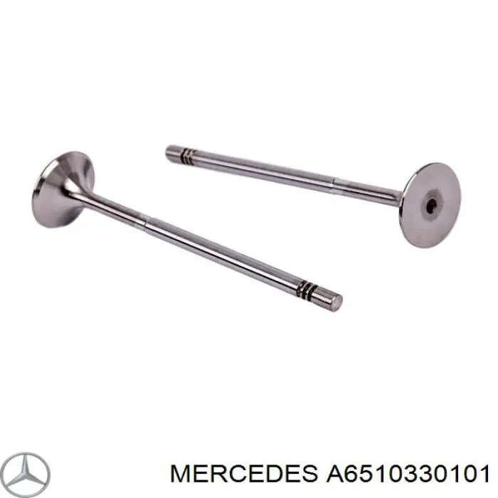  Mercedes A6510330101