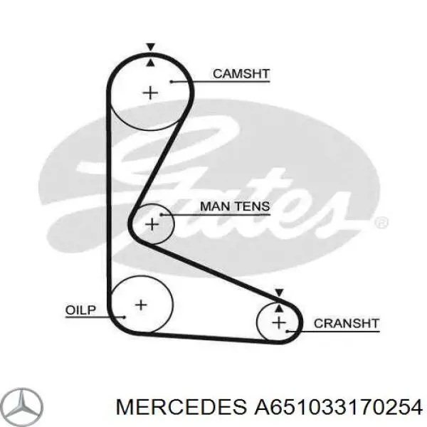 A651033170254 Mercedes