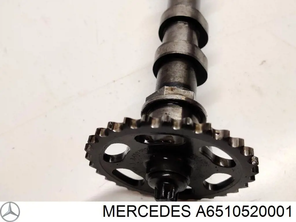 Piñón del árbol de levas A6510520001 Mercedes