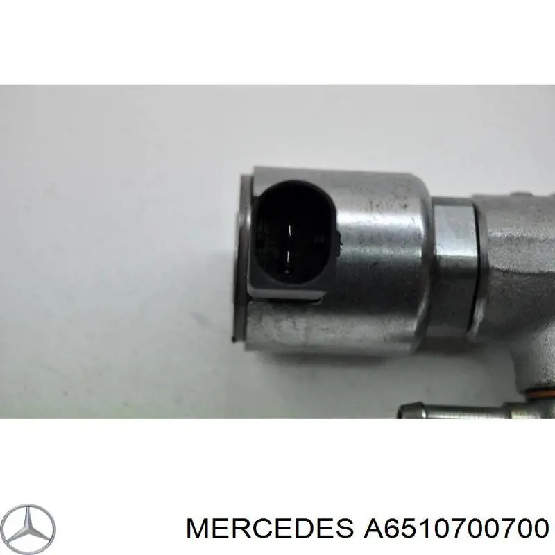 Rampa De Inyección Combustible Mercedes A6510700700