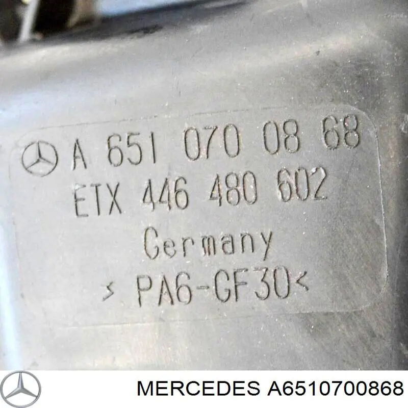 A6510700868 Mercedes 
