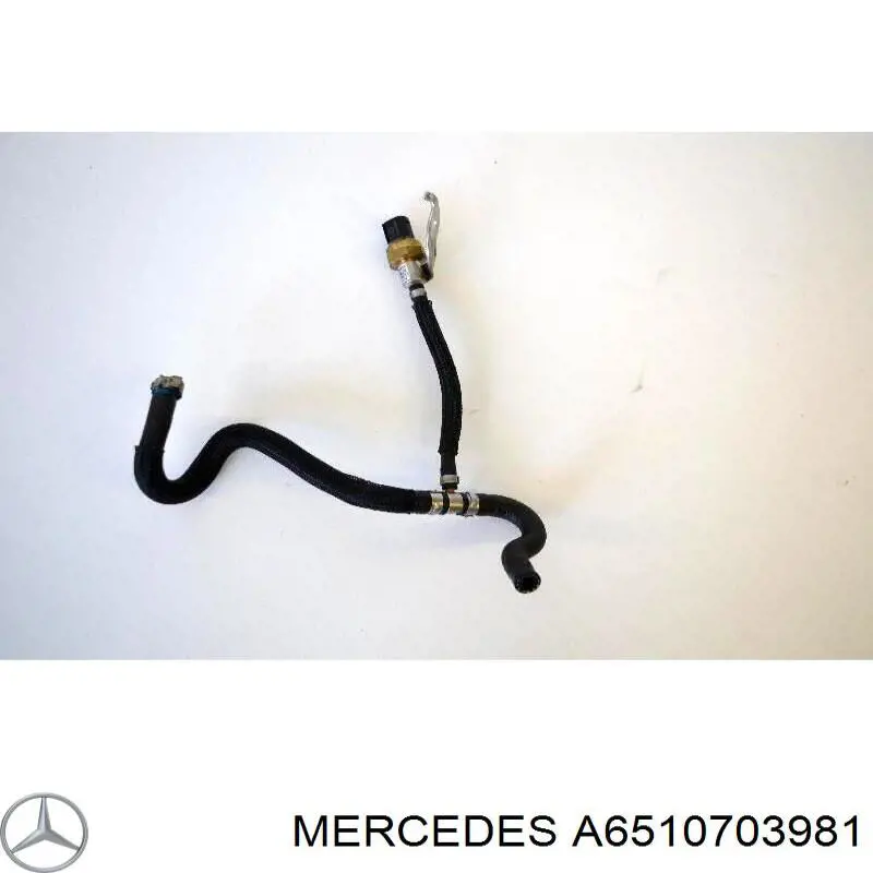 6510703981 Mercedes