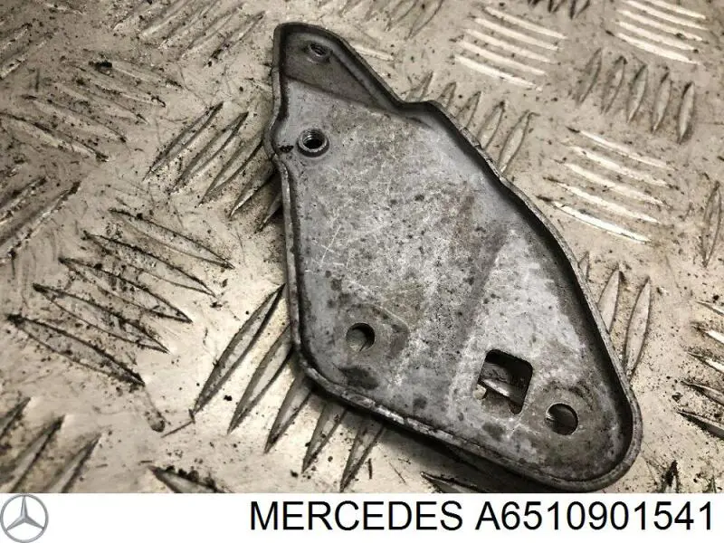 A6510901541 Mercedes 