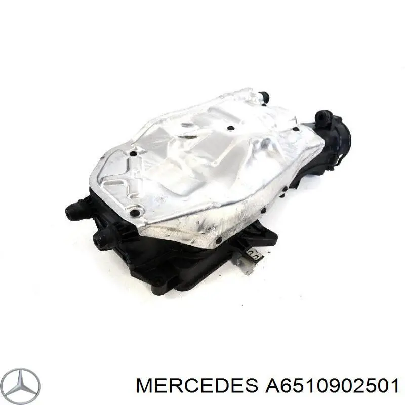 Caja del filtro de aire Mercedes 6510902501