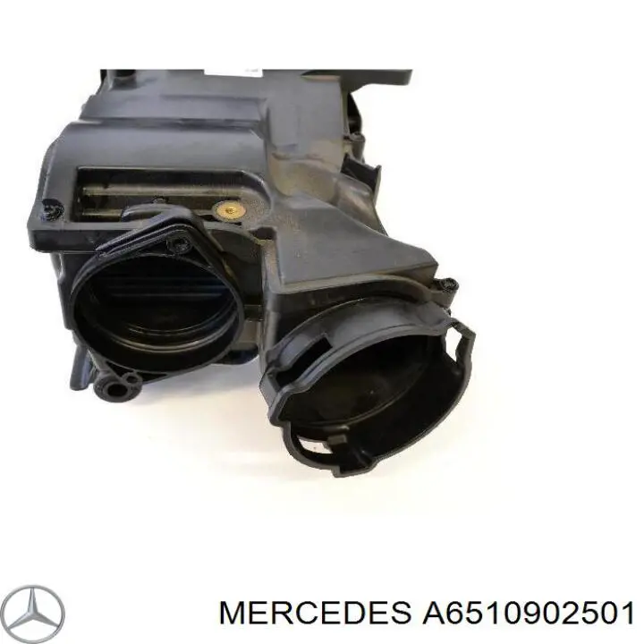 6510902501 Mercedes Carcasa del filtro de aire