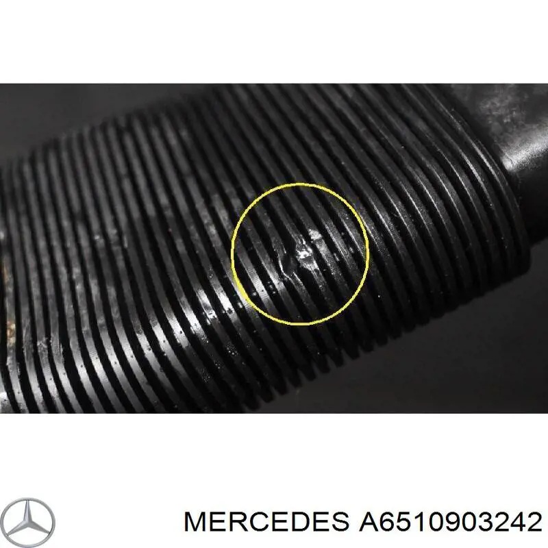 A651090324264 Mercedes