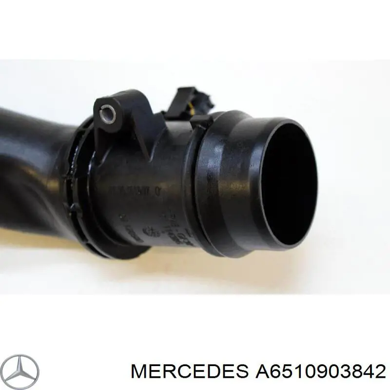 A6510903842 Mercedes