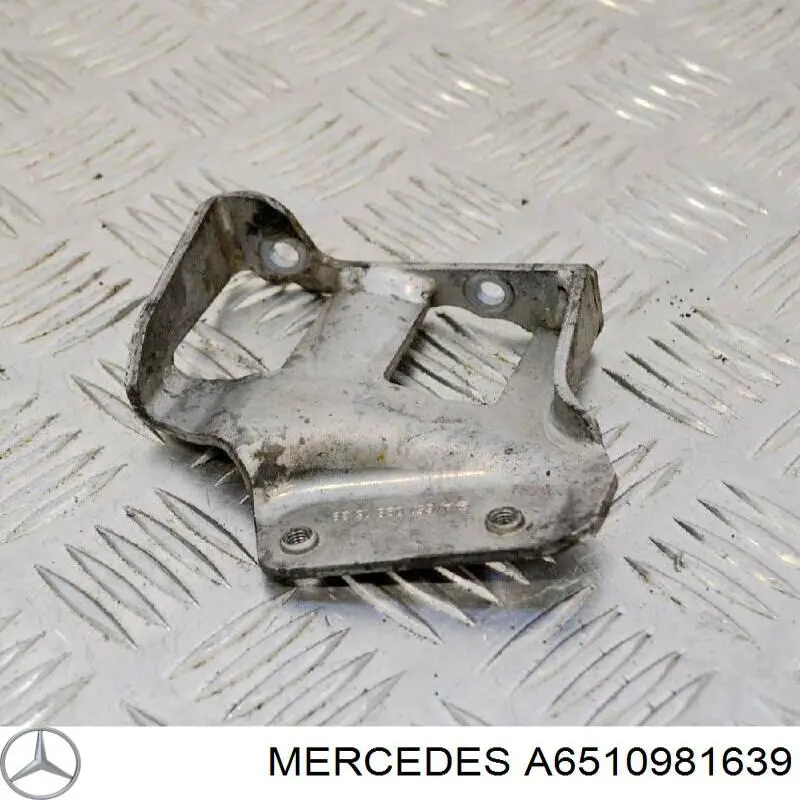 A6510981639 Mercedes