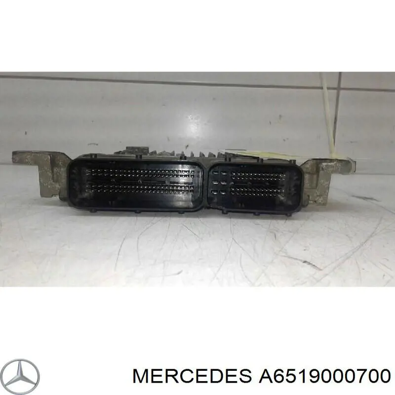 Unidad de control del motor  Mercedes A6519000700 precio, desde 307,82 EUR