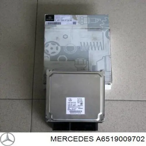 Unidad de control del motor  Mercedes A6519009702 precio, desde 227,96 EUR