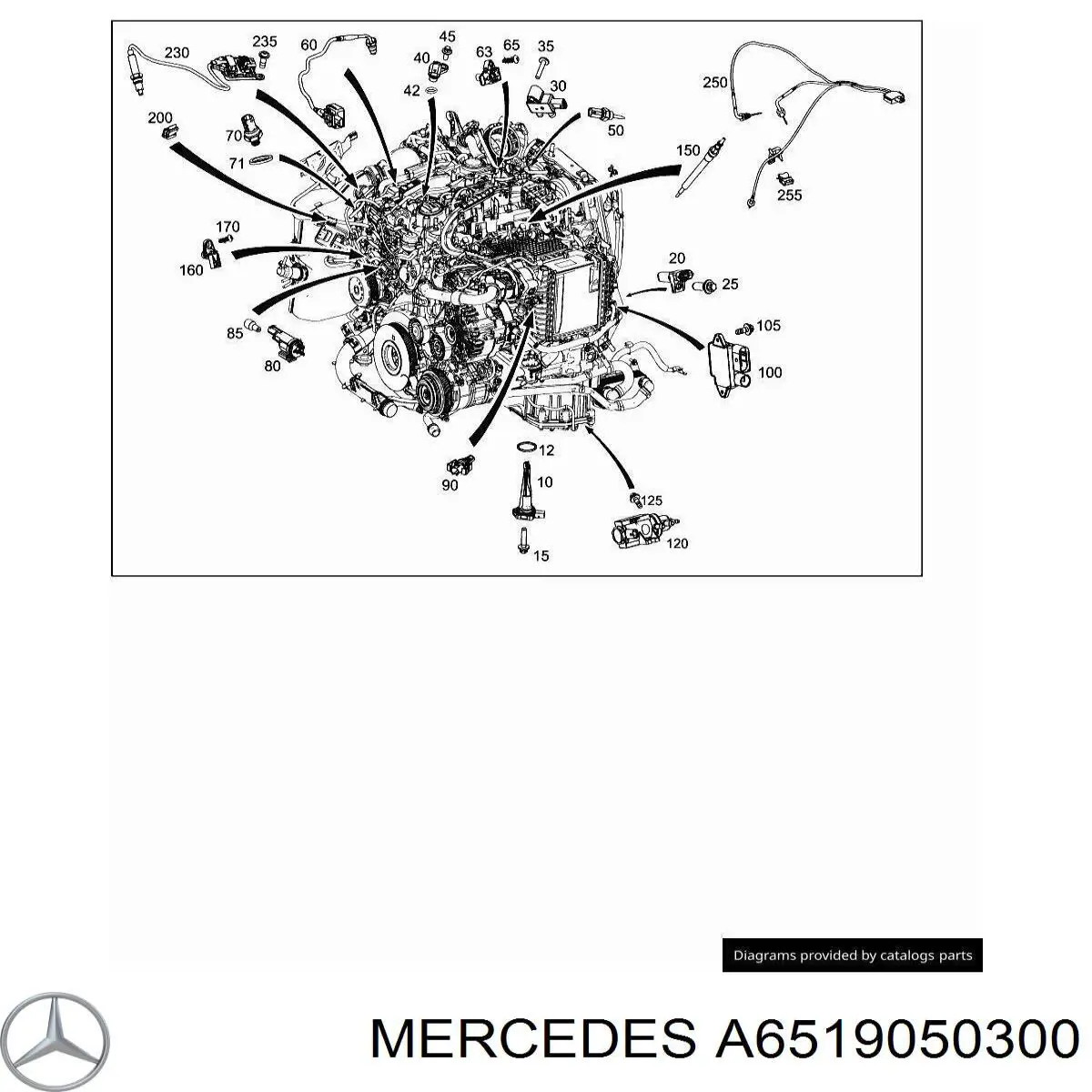 A6519050300 Mercedes