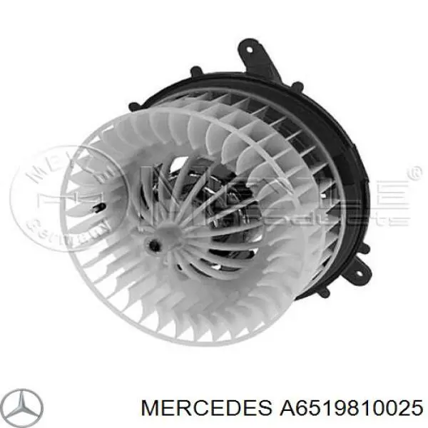  Mercedes A6519810025